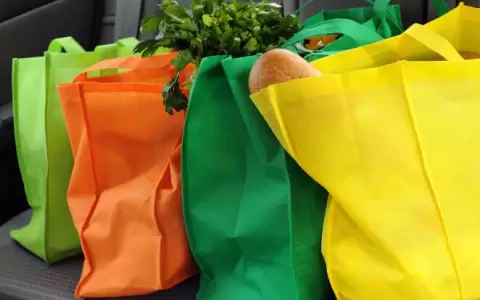 Uso de bolsas reutilizables generar� oportunidades para emprendedores