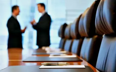 Profesionalizaci�n de gesti�n y estrategia pol�tica