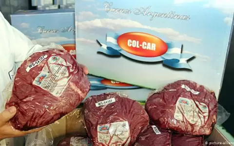 Argentina: Planean reapertura de exportaci�n de carne