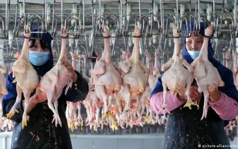 China confirma primer contagio humano de cepa de gripe aviar H10N3