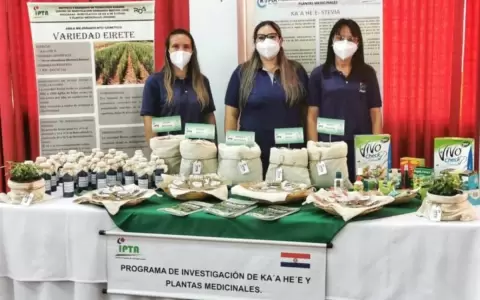 Crean mermelada de guayaba con ka'a he'?