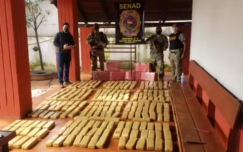 Senad confisca m�s de 1.500 kilos de marihuana en Canindey�