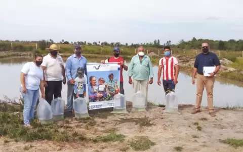 Pobladores de Cordillera apuestan a la tilapia