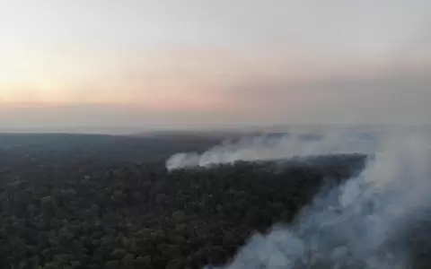 Incendio de gran magnitud afect� a parte de la Reserva San Rafael