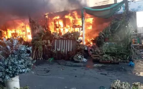 Se incendi� el Paseo de los Yuyos del Mercado 4, a causa de un cortocircuito