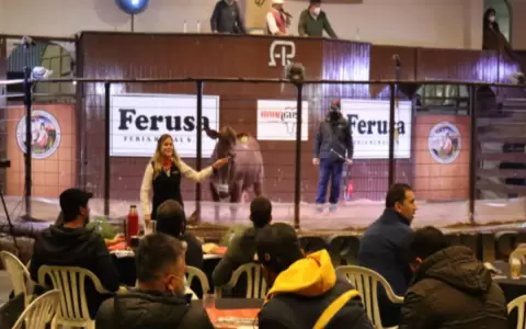 Ferusa apuntala a Brangus con m�s de G. 2.000 millones en subastas