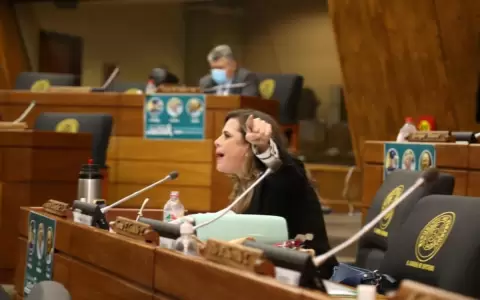 Katya Gonz�lez dijo que informe sobre deuda de Itaip� fue una "grave revelaci�n"