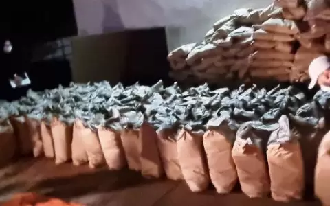 Incautaci�n r�cord de 3.400 kilos de coca�na en Fernando de la Mora