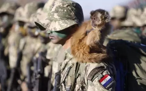 Ej�rcito Paraguayo trasladar� ca�ones hasta Cuartel General de Loma Pyt�