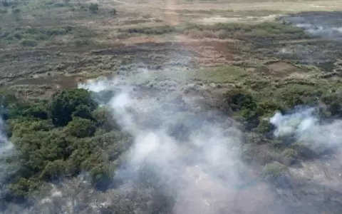 Gobierno inicia campa�a de mitigaci�n de incendios forestales ante sequ�a