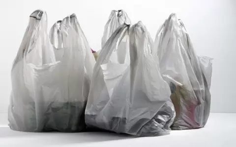 Buscan Ley que de uso de bolsas biodegradables sin logos.
