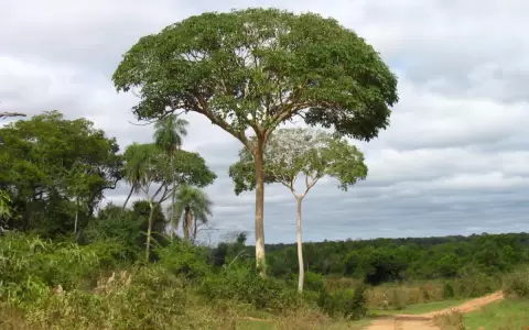 Un cerrado que es m�s abierto que cerrado
