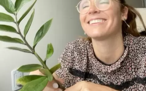 Los jardines verticales de Alexandra Kelly