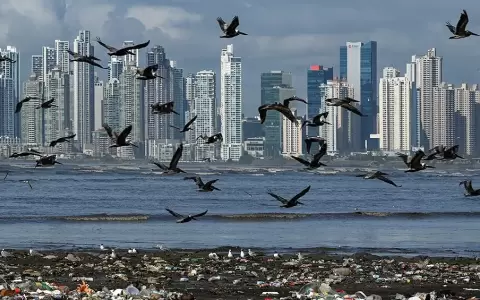 Las emisiones contaminantes mundiales alcanzar�n un nuevo r�cord en 2023