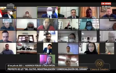 Senadores establecen mesa de trabajo para analizar comercializaci�n del ca�amo
