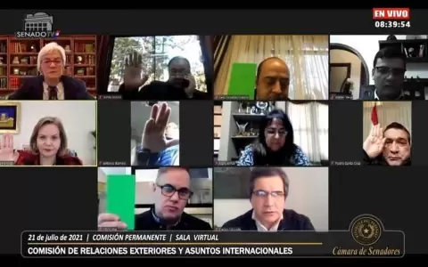Senadores son reelectos en comisiones y afianzan pacto Abdo-Luguista