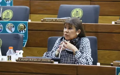Diputada reclama despilfarro de fondos sociales de Itaip�