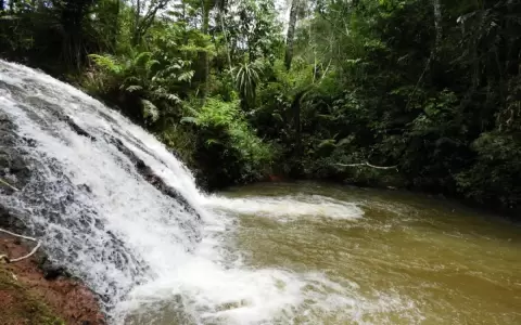 El santuario natural Yvyty Rok�i cumple 13 a�os conservando la biodiversidad
