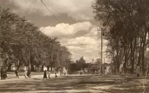"Fiesta del �rbol" en Asunci�n: Centenario de un evento olvidado