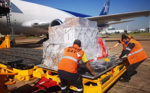 Arribaron al pa�s 33.900 dosis de Pfizer compradas por el Gobierno