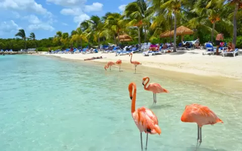StayPy Internacional: un viaje a Aruba, la isla feliz