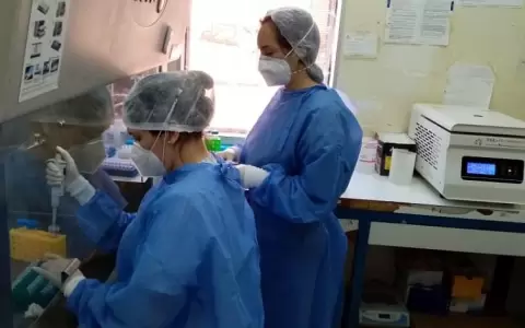 Covid-19: Paraguay, con capacidad de secuenciaci�n del genoma completo del virus