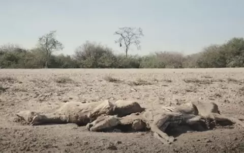 �Apenas el sol� gana el premio FIPRESCI en Estambul