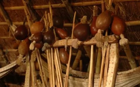 Derechos de los pueblos ind�genas en ciclo de capacitaci�n virtual
