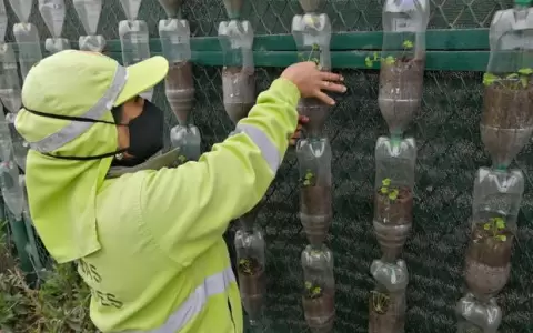 Econom�a Circular: Su importancia y aprovechamiento en medio de la pandemia