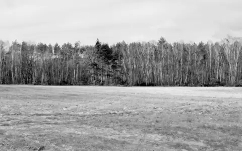 Haus-Kino: �Heimat es un espacio en el tiempo�, de Thomas Heise