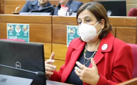 Senadores instaron al Ejecutivo a otorgar recursos para el Festival del Arpa