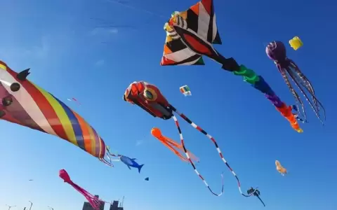 Gigantes de los cielos
