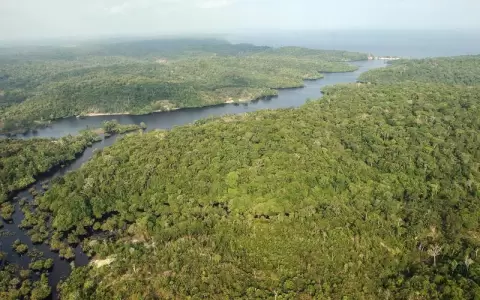 Brasil perdi� la sexta parte de sus �reas cubiertas de agua en tres d�cadas