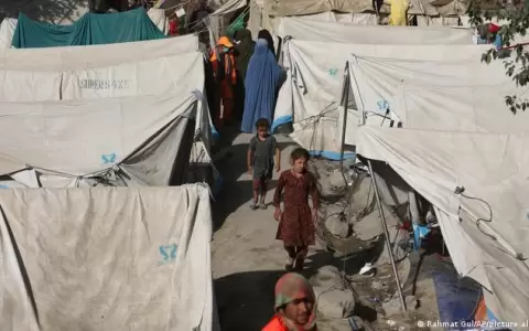 ONU espera medio mill�n de refugiados afganos adicionales tras llegada de talibanes