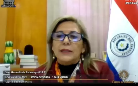 Senadora pide que se homenajee a ni�os con educaci�n y salud