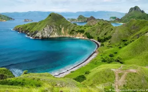 Indonesia sigue con la construcci�n de "Jurassic Park" pese a las advertencias