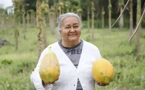 Do�a Rode sale adelante con la producci�n de mamones