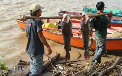 Casi 8.000 pescadores se ver�an afectados si se adelanta la veda pesquera, seg�n Mades