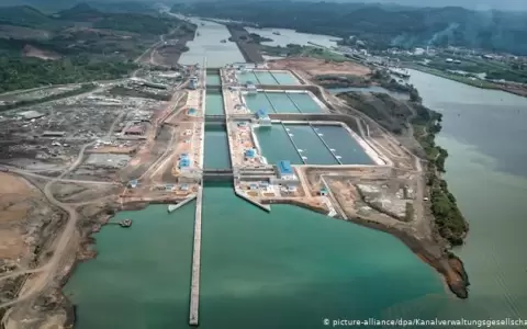 Canal de Panam� delimita velocidad de buques para cuidar ballenas