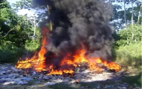 Seg�n estudio, 600 mil hogares paraguayos queman su basura