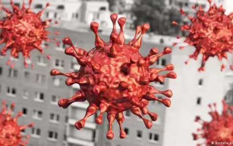 �Cu�ntos anticuerpos son necesarios para ser inmune al coronavirus?