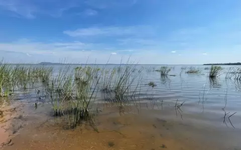 Lago Ypacara� muestra mejor�a en calidad del agua