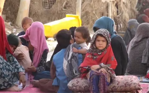 Italia acoger� 2.500 refugiados afganos y quiere un G20 "extraordinario" sobre Afganist�n