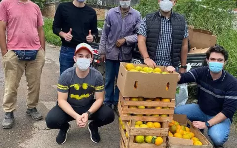 Paraguayos competir�n por USD 1 mill�n en Londres con startup que recolecta mangos