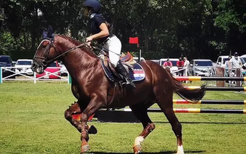 Abierto de salto ecuestre se pondr� en marcha este fin de semana