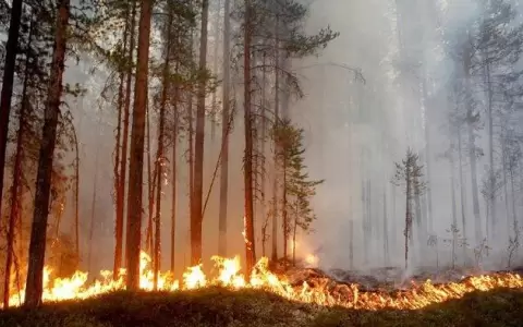 Registran 31 focos de calor en todo el pa�s