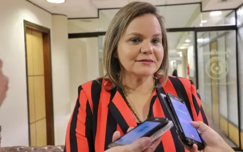 El partido colorado �se convirti� en un club de amigos�, seg�n Lilian Samaniego