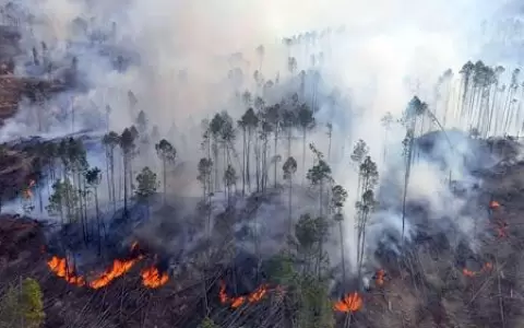 Fiscal del ambiente pide que se elimine ley que permite la quema controlada