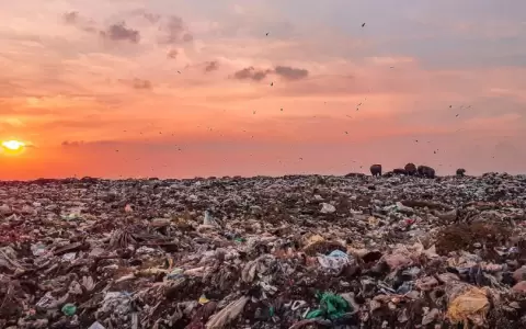 Metano: El gas que cada vez tiene mayor impacto en el aumento de temperaturas