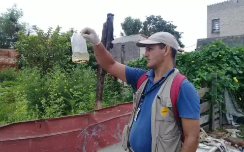 Advierten de aumento de infestaci�n larvaria e instan a eliminar criaderos de dengue